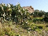thumb_112_dsc08076.jpg